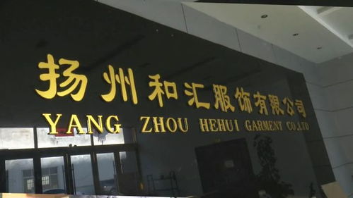 寶應(yīng)企業(yè)和匯服飾公司產(chǎn)品打入歐洲市場(chǎng),業(yè)務(wù)每年增長(zhǎng)20